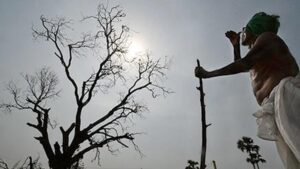 El Nino fear may cut Vizianagaram crop area by 20,000 hectares this Kharif