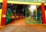 Acharya N.G. Ranga Agricultural University (ANGRAU)