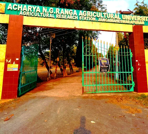 Acharya N.G. Ranga Agricultural University (ANGRAU)
